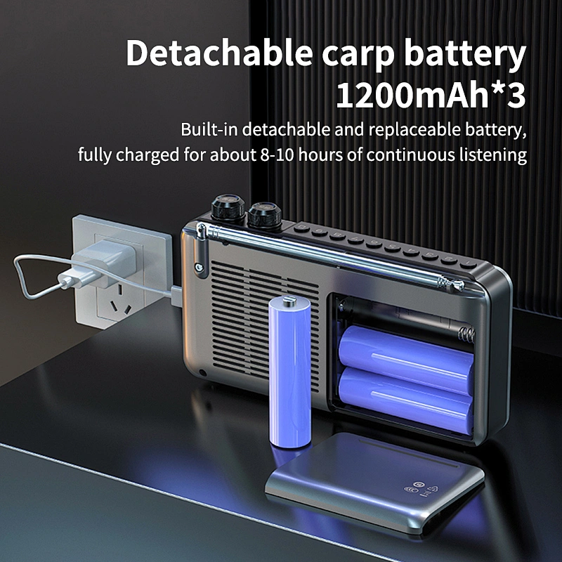 Portable 4.3 inch LCD Screen Radio Multi-band HF AM Built-in Rechargeable  Battery FM Bluetooth Radio Speaker