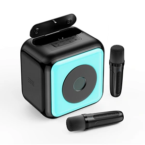 New Exclusive Model Colourful Lighting Karaoke Subwoofer Bluetooth Speaker with Built-in Wireless Dual Microphones