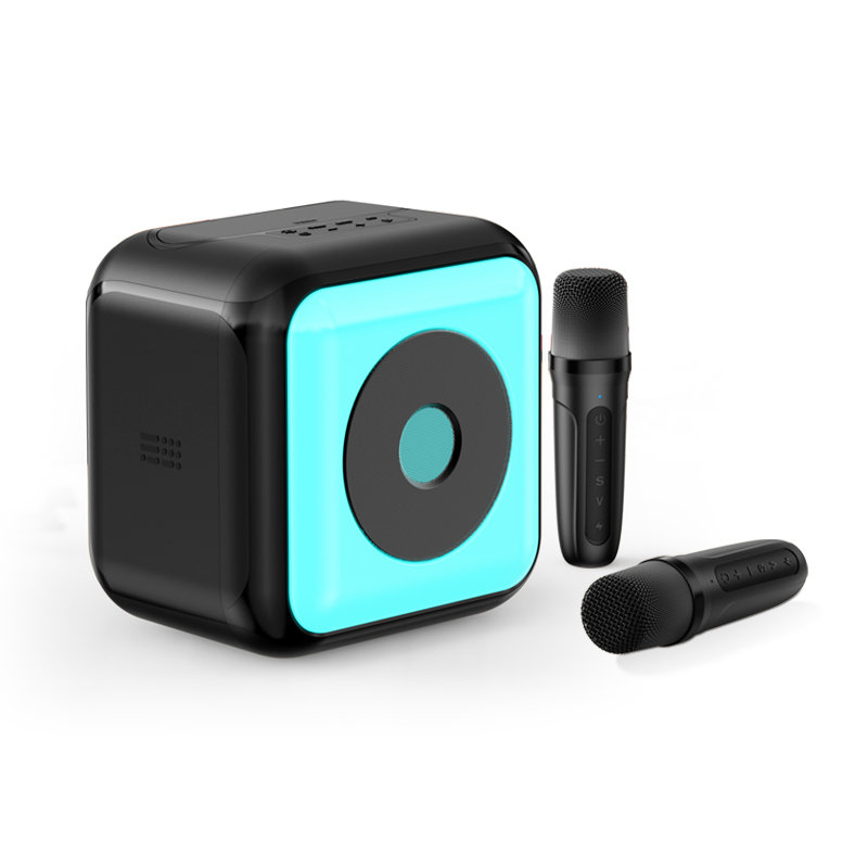 New Exclusive Model Colourful Lighting Karaoke Subwoofer Bluetooth Speaker with Built-in Wireless Dual Microphones