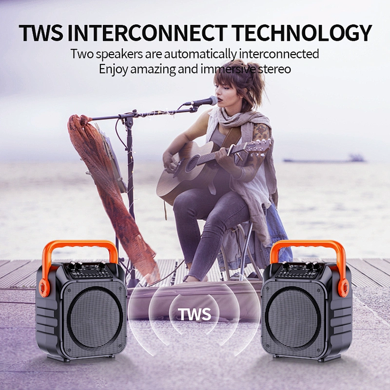 2025 New Party Karaoke RGB Lights Bluetooth Portable Speaker with Microphone USB AUX TF TWS