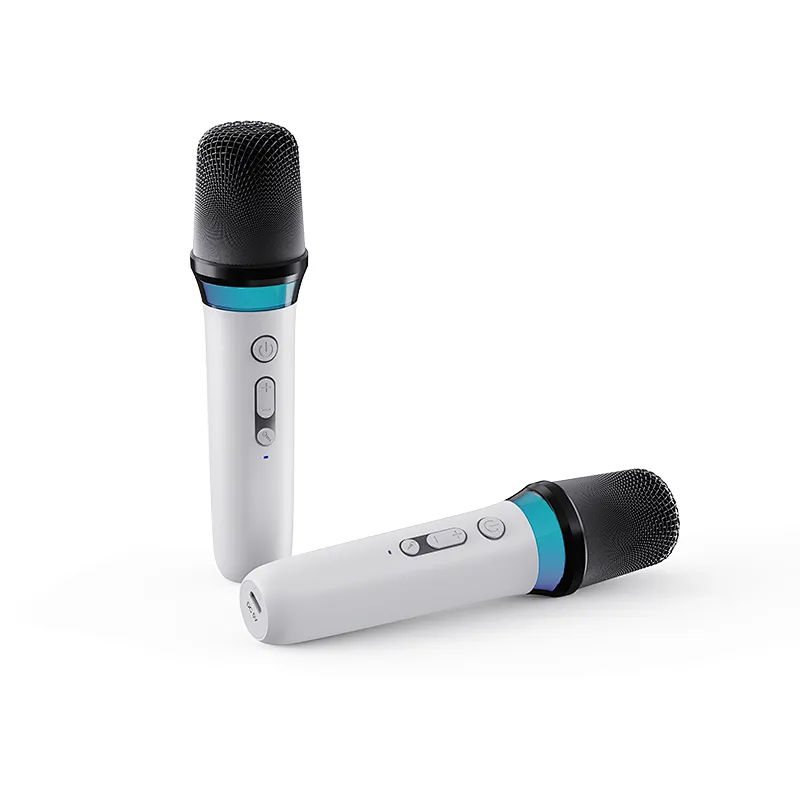 OEM New Karaoke Bluetooth Portable Speaker 20W Dual BT Wireless Microphone Fabric Colorful LED Lights Computer Mobile Phone