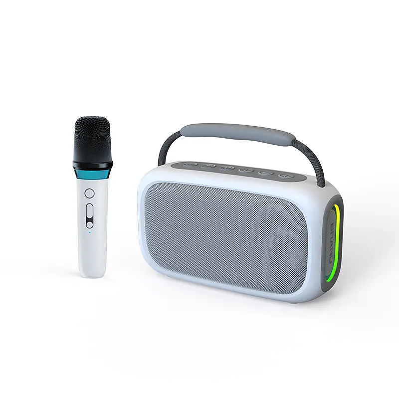 OEM New Karaoke Bluetooth Portable Speaker 20W Dual BT Wireless Microphone Fabric Colorful LED Lights Computer Mobile Phone