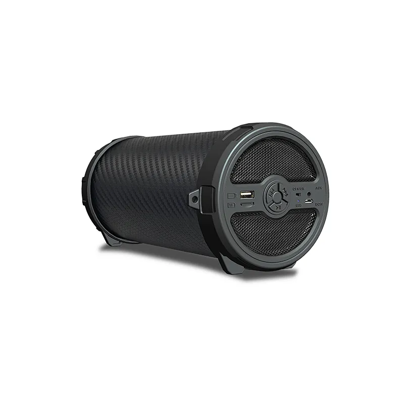 Customizable Logo Outdoor Portable Wireless Karaoke Audio Home Theatre System 10W Sound Bluetooth Speaker