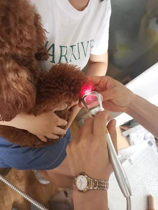 Veterinary wound heating