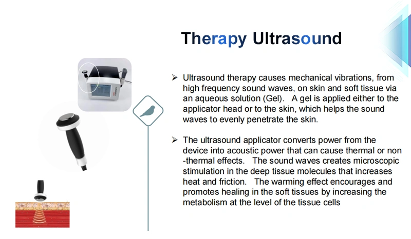 Therapy Ultrasound