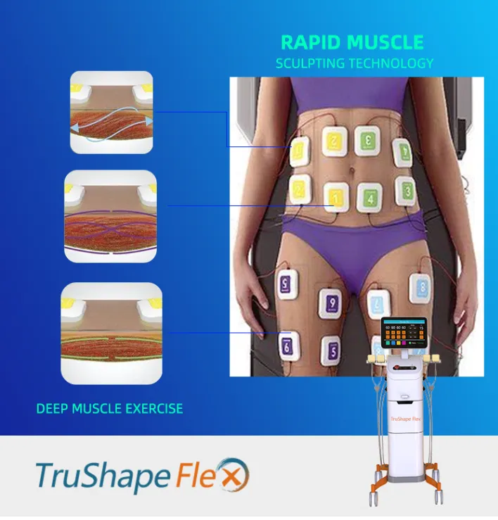 Muscle building