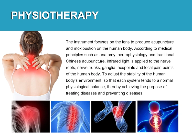 980 810 1064nm Physio Therapy Equipment
