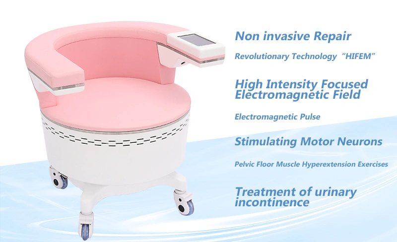 EMS Pelvic Floor Chair