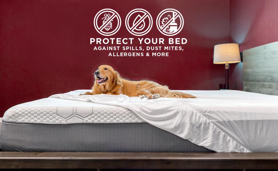 protect your bed