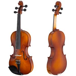 Front and Back view of violin