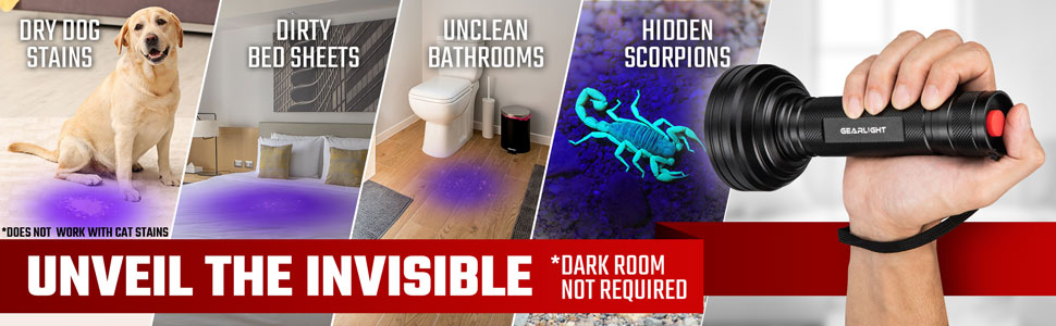 dry dog stains dirty bed sheets unclean bathrooms hidden scorpions