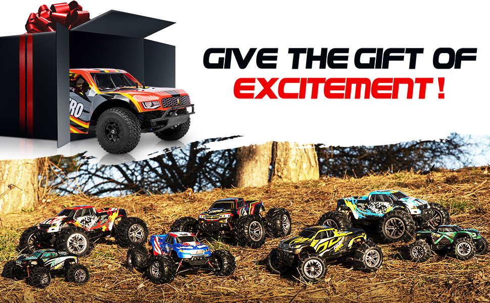 GIVE THE GIFT OF EXCITEMENT