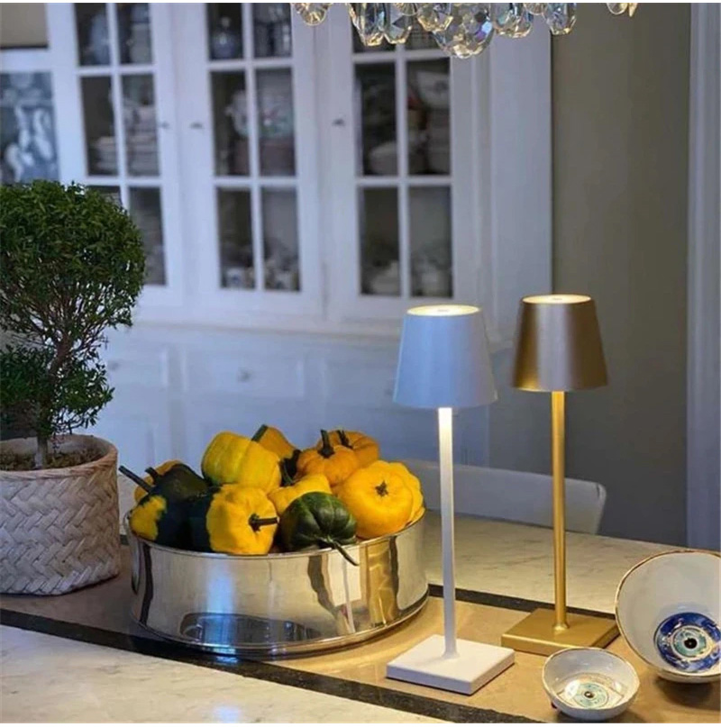 Table Lamp with USB Rechargeable Capability and Adjustable Features