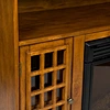 electric stove fire