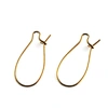 Brass Earring Hoops