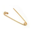 large safety pin