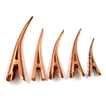 Silver Beak Clip