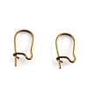 Brass Earring Hoops
