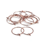 Big Circle Ear Wire Hoops