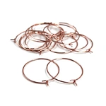 Big Circle Ear Wire Hoops