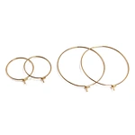 Big Circle Ear Wire Hoops