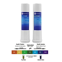 tyent water ionizer