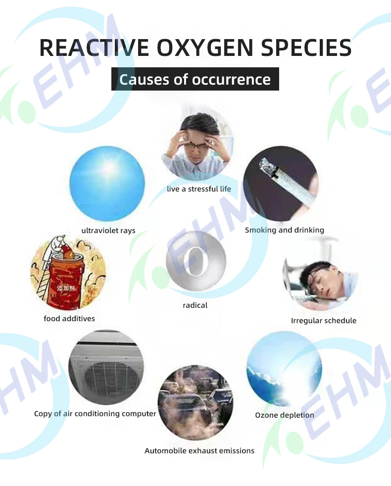 Best hydrogen water bottle