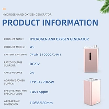 hydrogen water generator