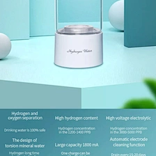 hydrogen water ionizer flask