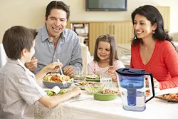 pur plus water filter