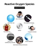 hydrolify hydrogen water bottle