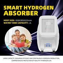 hydrogen sulfide absorber