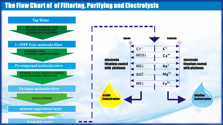 alkaline ionized water