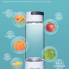 hydrogen water ionizer bottle