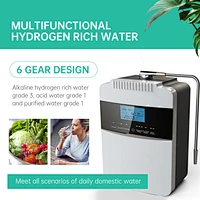 alkaline water ionizer