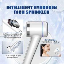 antioxidant ionized water system
