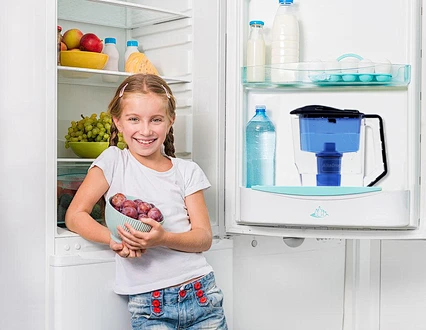 pur plus water filter