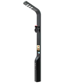 Integrated municipal lighting pole