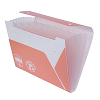 19 pockets expanding file
