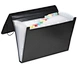 13 PKT EXPANDING FILE BK
