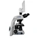 Digital microscope with LCD screen