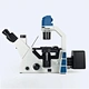 Fluorescence microscopy