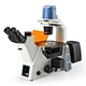 Fluorescent Biological Microscopy