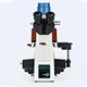 Fluorescent Biological Microscopy