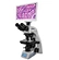 Digital microscope with LCD screen
