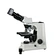 microscope camera for scientific research