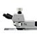 TrinocularI Industrial Inspection Microscope