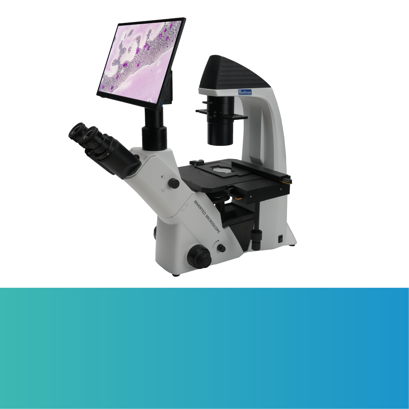 Microscope Suppliers