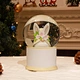 Crystal Ball