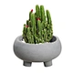 Cement Garden Succulent Planter Indoor Outdoor Flower Plant Pot